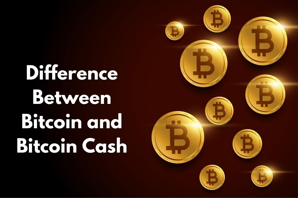 Bitcoin And Bitcoin Cash