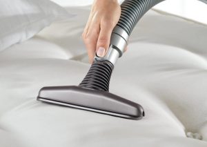 Upholstery Cleaning