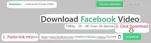 use Snapsave to Facebook video download