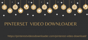 Pinterset Video Downloader