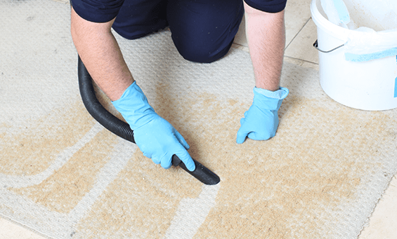 Carpet Cleaning Homebush