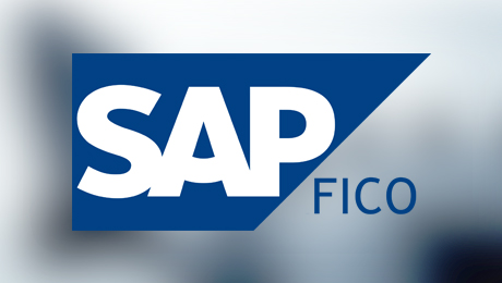 SAP Fico Training in Delhi