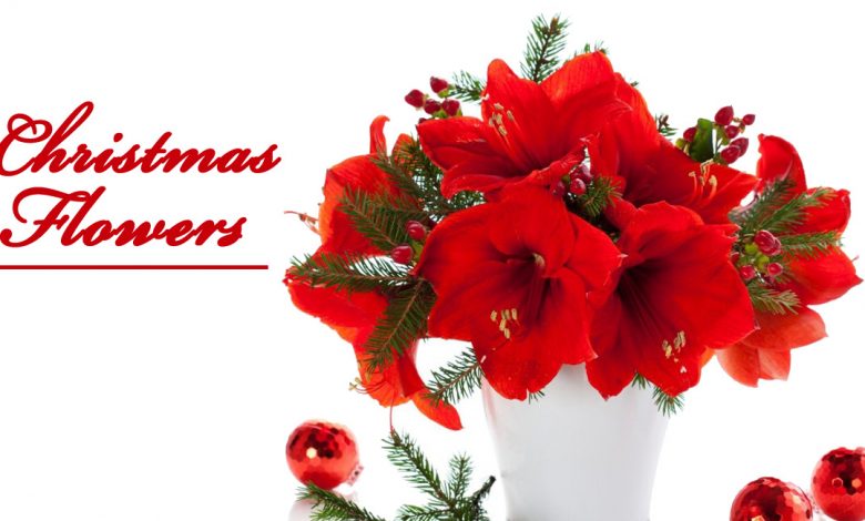 christmas flowers- Top 7 Most Expensive Flower Bouquets for Christmas