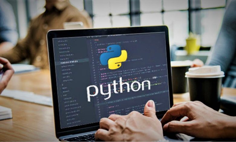 Python Homework Help