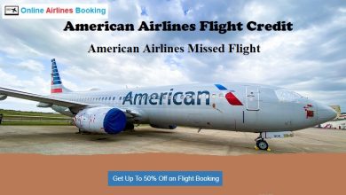 American Airlines Flight Credit